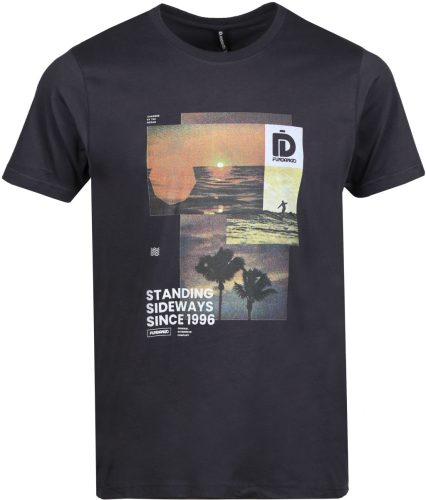 FUNDANGO BASIC LOGO 9 T-SHIRT antracit Férfi póló